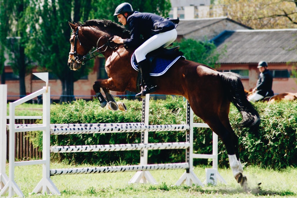 Monter à cheval en toute sécurité avec un gilet de protection.