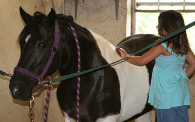 Soulager les animaux par les plantes