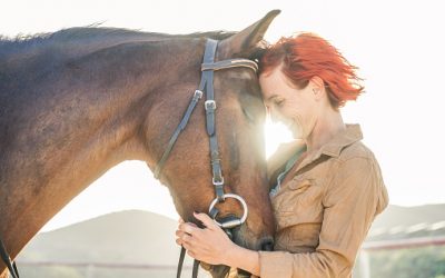 Et si vous achetez votre premier cheval maintenant!