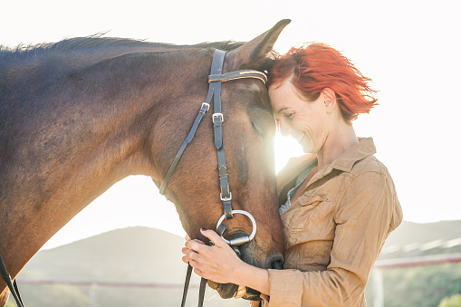 Et si vous achetez votre premier cheval maintenant!