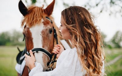 Surveillez vos chevaux avec une caméra sans fil